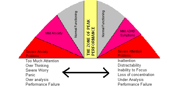 the zone