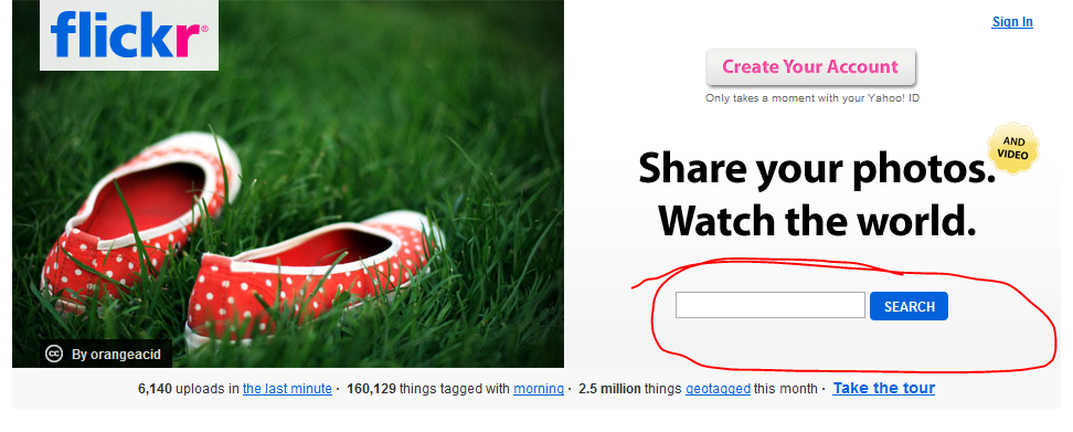 flickr search