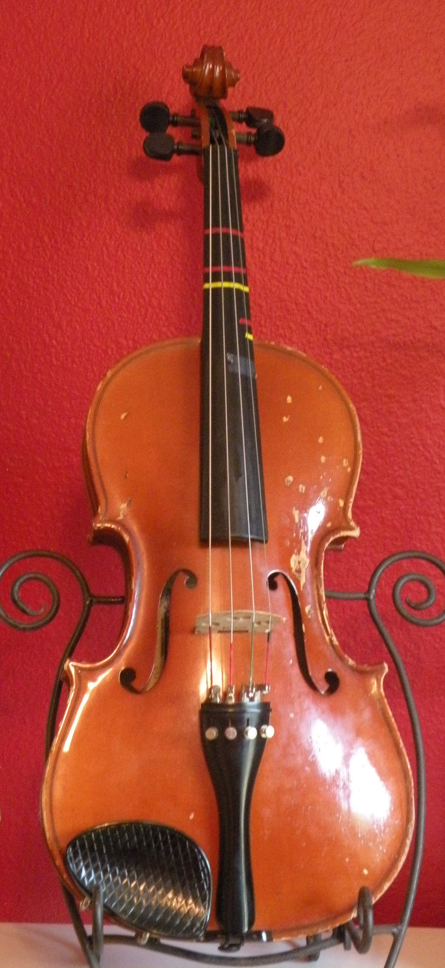 Violin pic